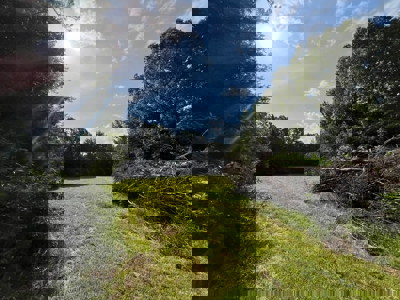 Holly Springs NF Property, Hickory Flat, MS - image 7