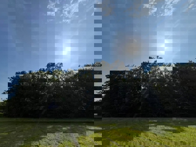 Holly Springs NF Property, Hickory Flat, MS - image 6