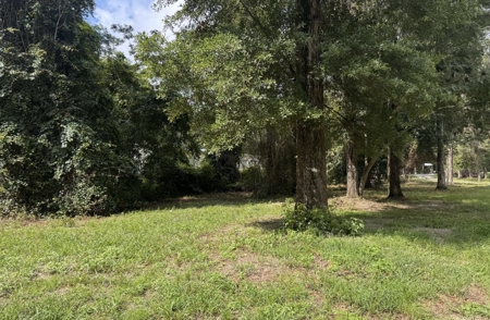 River Community With 2Bed/2Bath Home For Sale In Ft. White, FL - image 23