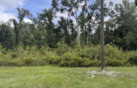 River Community With 2Bed/2Bath Home For Sale In Ft. White, FL - image 5