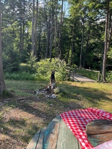 Cabin on Acreage For Sale in Herkimer County New York - image 16