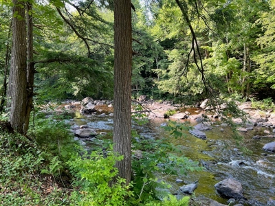 Cabin on Acreage For Sale in Herkimer County New York - image 3