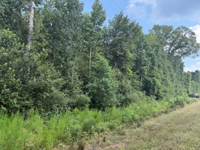 Land For Sale Simsboro LA Lincoln Parish - image 2