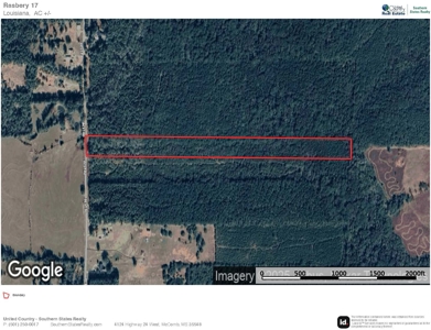 Land For Sale Simsboro LA Lincoln Parish - image 10