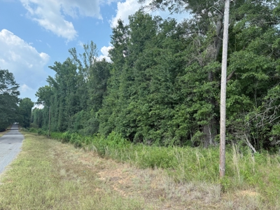 Land For Sale Simsboro LA Lincoln Parish - image 1