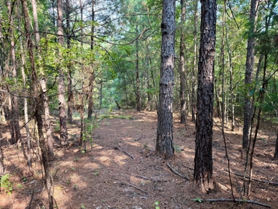 Land For Sale Simsboro LA Lincoln Parish - image 8