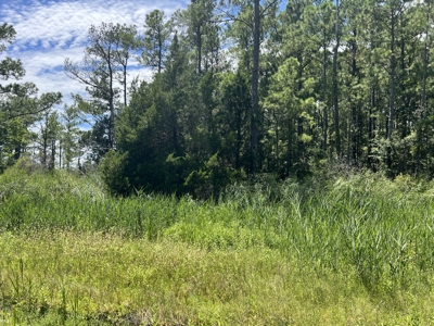 Build Your Dream Home on 5.36 Acres - No HOA or Limits! - image 9