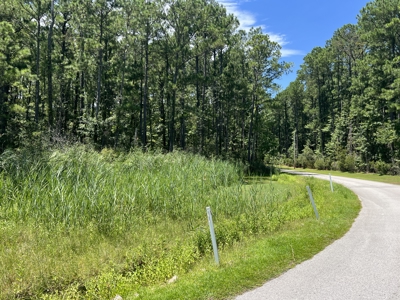 Build Your Dream Home on 5.36 Acres - No HOA or Limits! - image 8