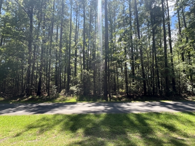 Build Your Dream Home on 5.36 Acres - No HOA or Limits! - image 10