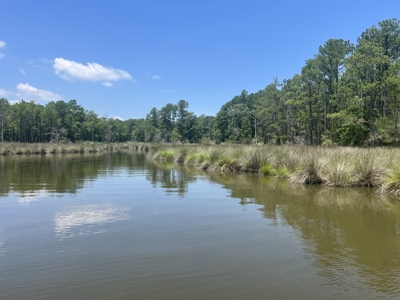 Build Your Dream Home on 5.36 Acres - No HOA or Limits! - image 6