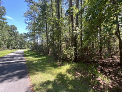 Build Your Dream Home on 5.36 Acres - No HOA or Limits! - image 3