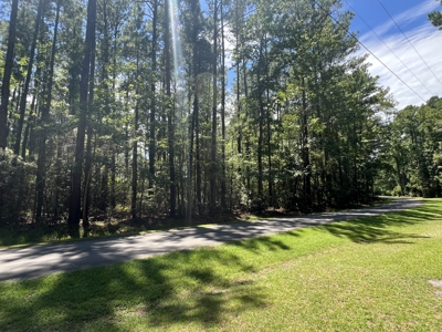 Build Your Dream Home on 5.36 Acres - No HOA or Limits! - image 11