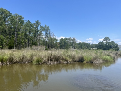 Build Your Dream Home on 5.36 Acres - No HOA or Limits! - image 7