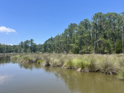 Build Your Dream Home on 5.36 Acres - No HOA or Limits! - image 4