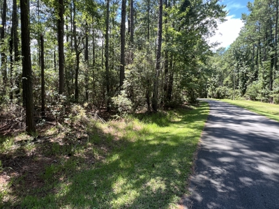 Build Your Dream Home on 5.36 Acres - No HOA or Limits! - image 1