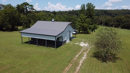 Land for Sale in Wayne County, Tennessee - image 1