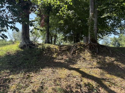 Land for Sale in Wayne County, Tennessee - image 22