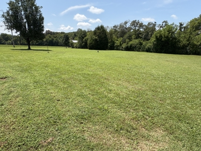 Land for Sale in Wayne County, Tennessee - image 30