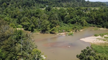 Land for Sale in Wayne County, Tennessee - image 9