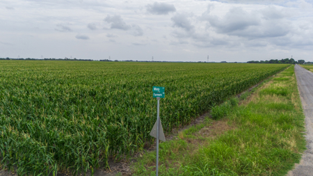 70 Acres Prime Development Tract in Rapid Growth Corridor - image 14