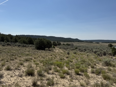 Mountain Property For Sale with One Room Ready for your Finish - image 4