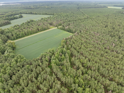 77-Acre Farm & Timberland with Hunting Near Aurora, NC - image 13