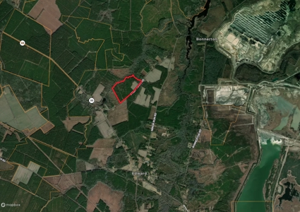 77-Acre Farm & Timberland with Hunting Near Aurora, NC - image 10