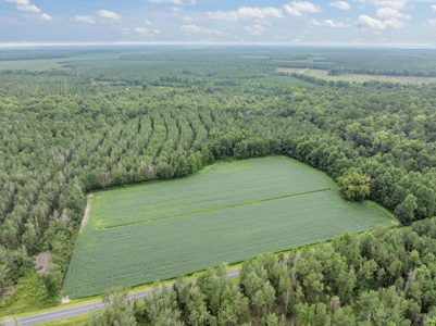 77-Acre Farm & Timberland with Hunting Near Aurora, NC - image 12