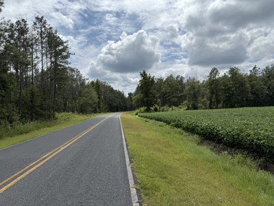 77-Acre Farm & Timberland with Hunting Near Aurora, NC - image 1
