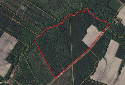 77-Acre Farm & Timberland with Hunting Near Aurora, NC - image 8
