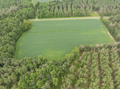77-Acre Farm & Timberland with Hunting Near Aurora, NC - image 14
