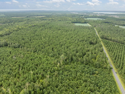 77-Acre Farm & Timberland with Hunting Near Aurora, NC - image 20
