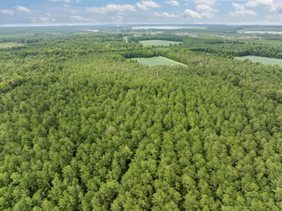 77-Acre Farm & Timberland with Hunting Near Aurora, NC - image 21