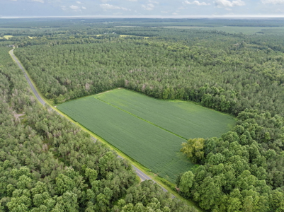 77-Acre Farm & Timberland with Hunting Near Aurora, NC - image 11