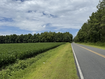77-Acre Farm & Timberland with Hunting Near Aurora, NC - image 4