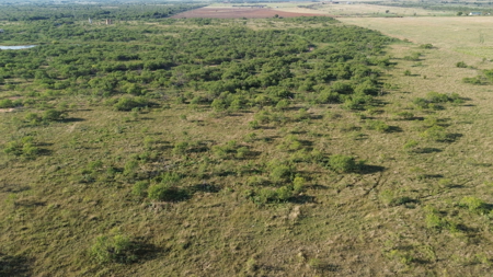 North Texas Ranch & Hunting Land for Sale with Minerals - image 12