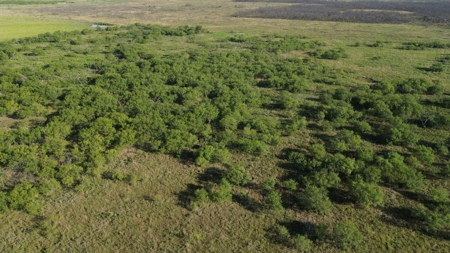 North Texas Ranch & Hunting Land for Sale with Minerals - image 11