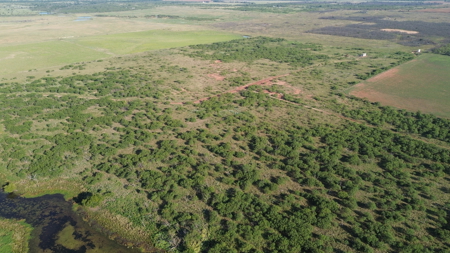 North Texas Ranch & Hunting Land for Sale with Minerals - image 22