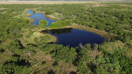 North Texas Ranch & Hunting Land for Sale with Minerals - image 1