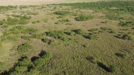 North Texas Ranch & Hunting Land for Sale with Minerals - image 3