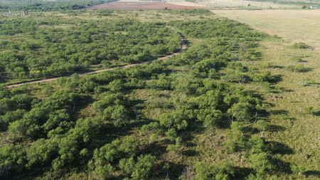 North Texas Ranch & Hunting Land for Sale with Minerals - image 2