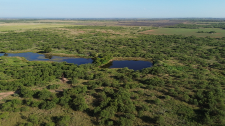 North Texas Ranch & Hunting Land for Sale with Minerals - image 19
