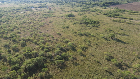North Texas Ranch & Hunting Land for Sale with Minerals - image 15