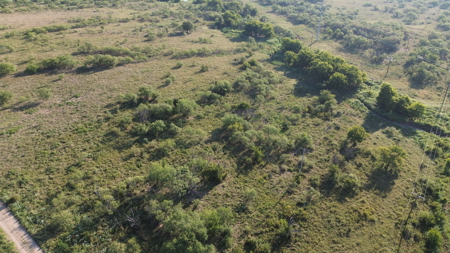North Texas Ranch & Hunting Land for Sale with Minerals - image 18