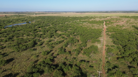 North Texas Ranch & Hunting Land for Sale with Minerals - image 9