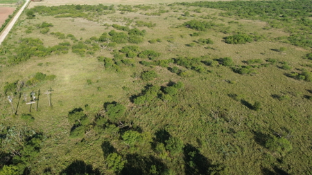 North Texas Ranch & Hunting Land for Sale with Minerals - image 23