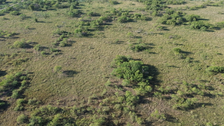 North Texas Ranch & Hunting Land for Sale with Minerals - image 16