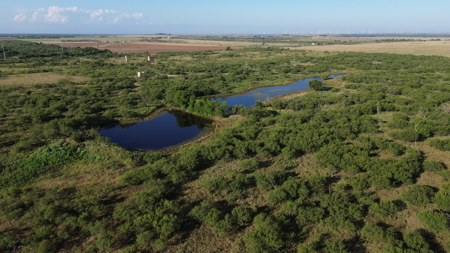 North Texas Ranch & Hunting Land for Sale with Minerals - image 8