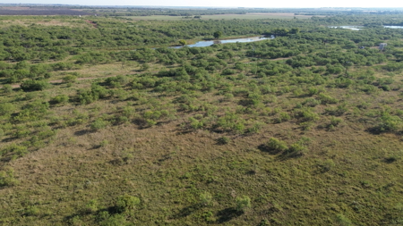 North Texas Ranch & Hunting Land for Sale with Minerals - image 17