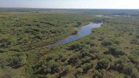 North Texas Ranch & Hunting Land for Sale with Minerals - image 4